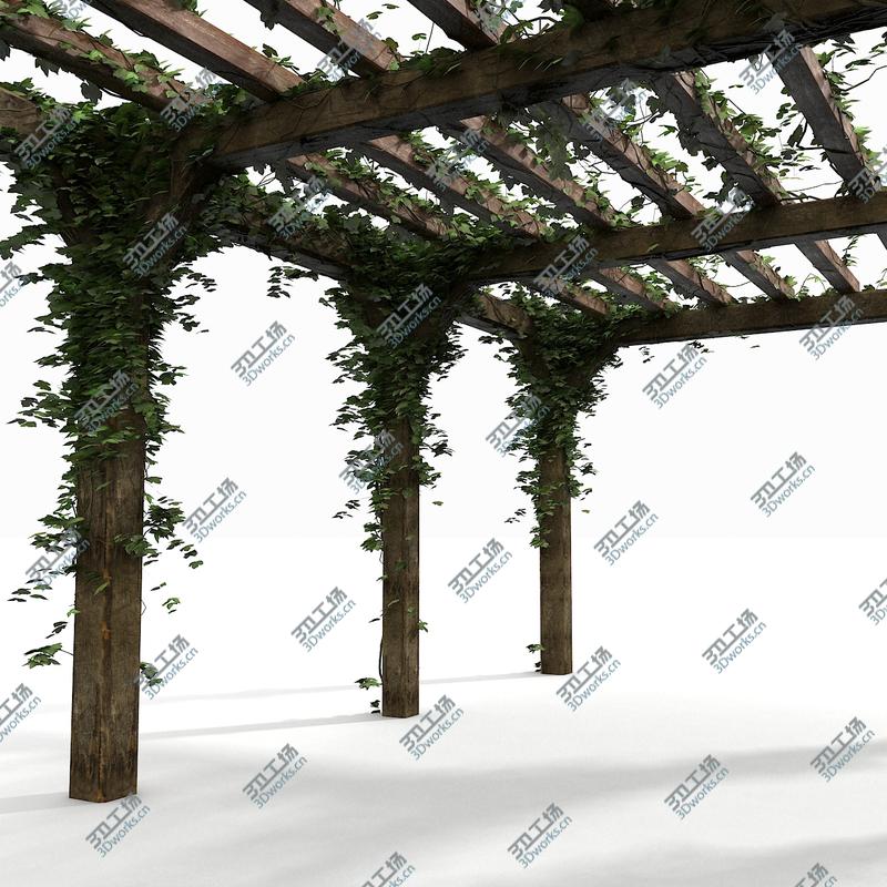 images/goods_img/2021040232/Wooden Pergola With Ivy Plant/4.jpg